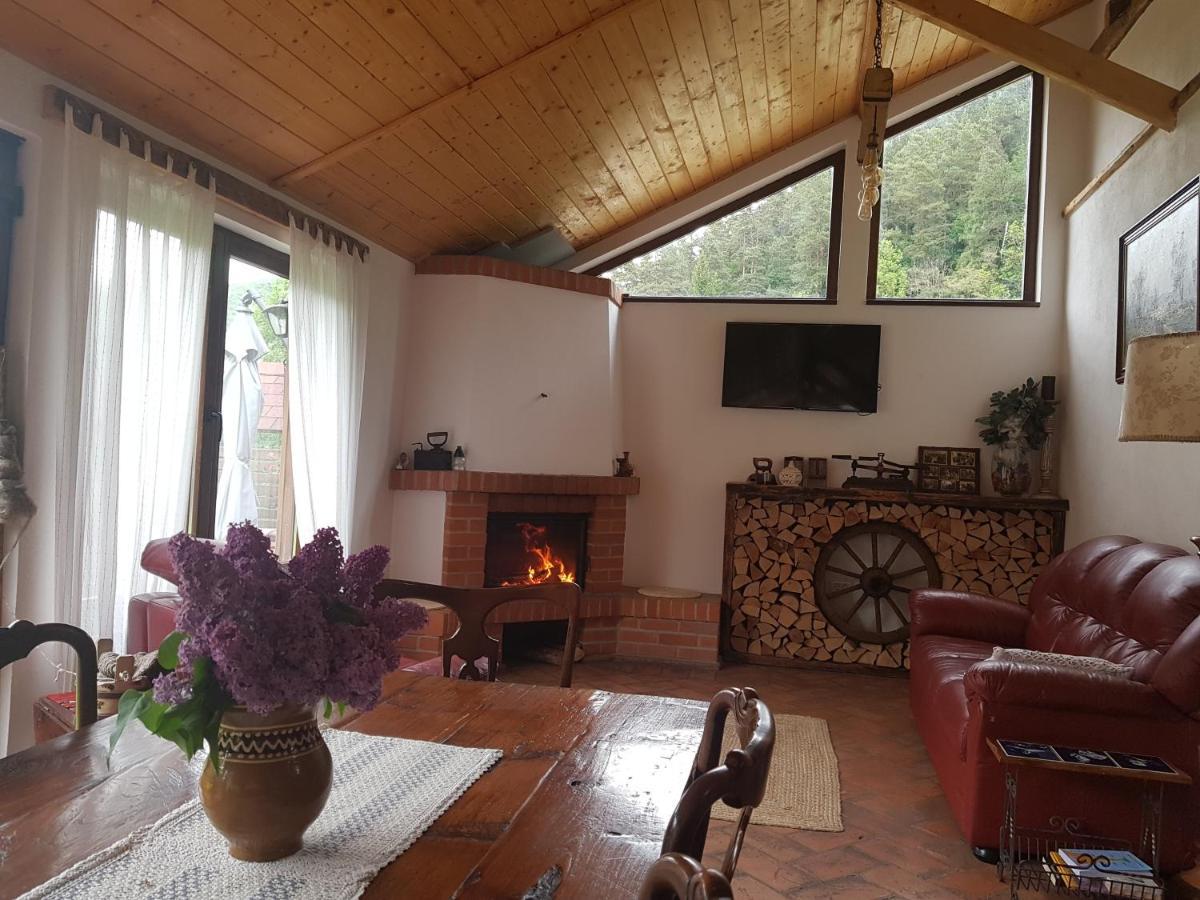 Sura Lu' Vasile. Bed & Breakfast Crivina  Exterior foto