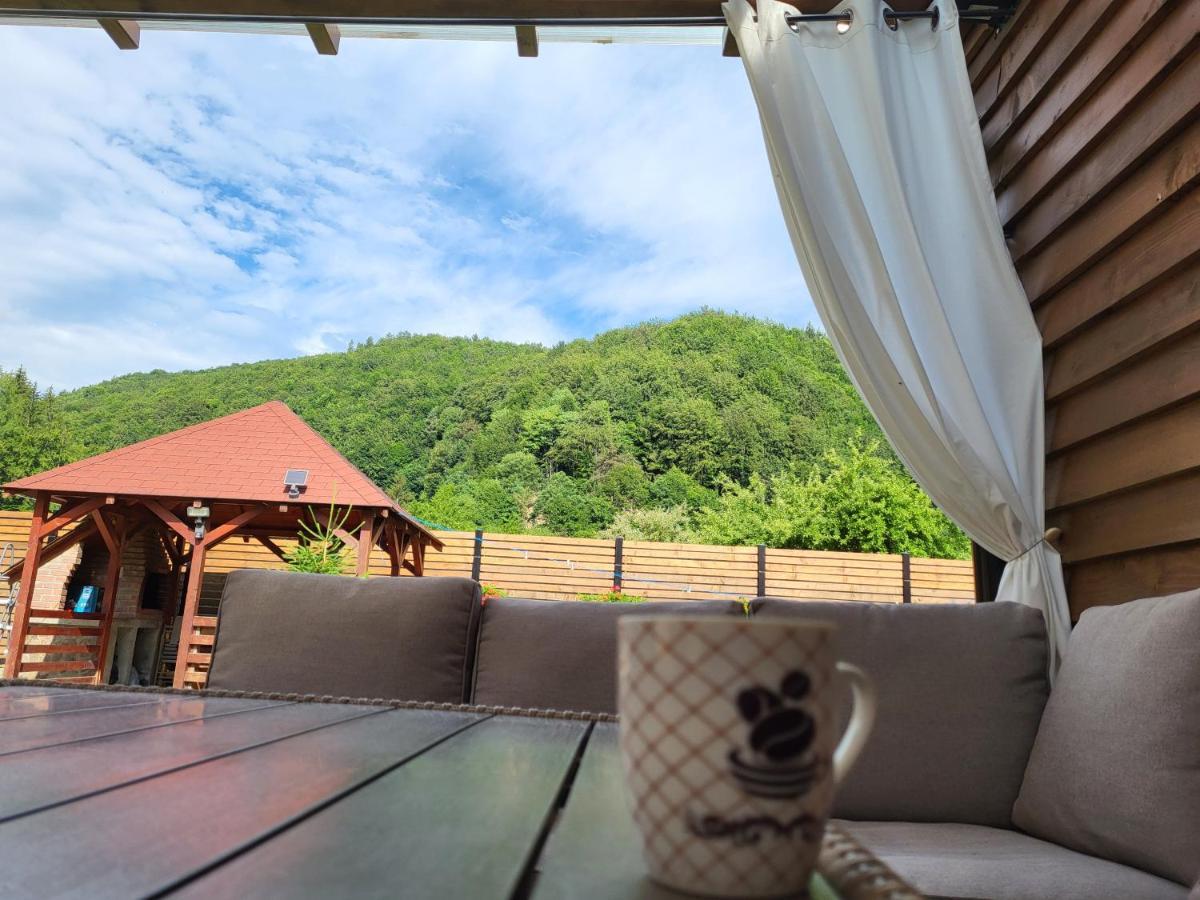 Sura Lu' Vasile. Bed & Breakfast Crivina  Exterior foto