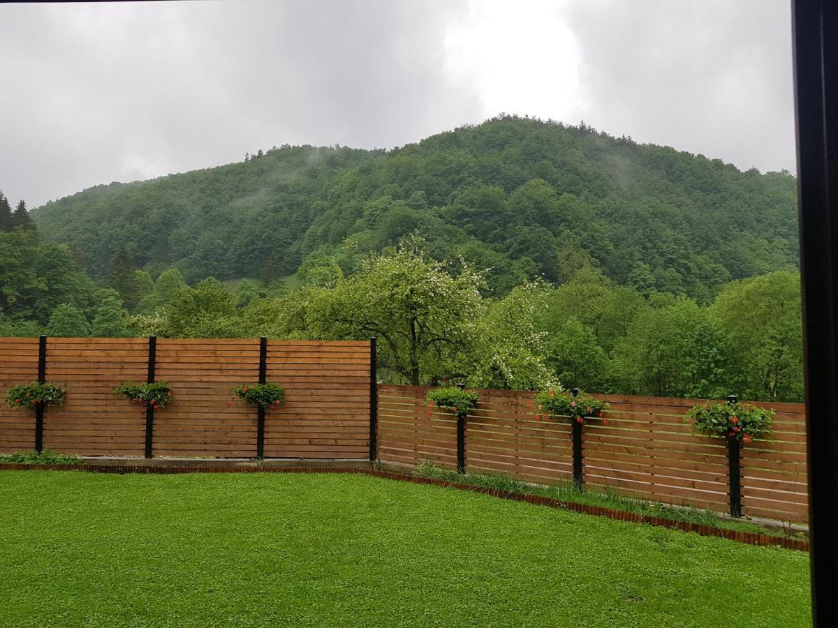 Sura Lu' Vasile. Bed & Breakfast Crivina  Exterior foto